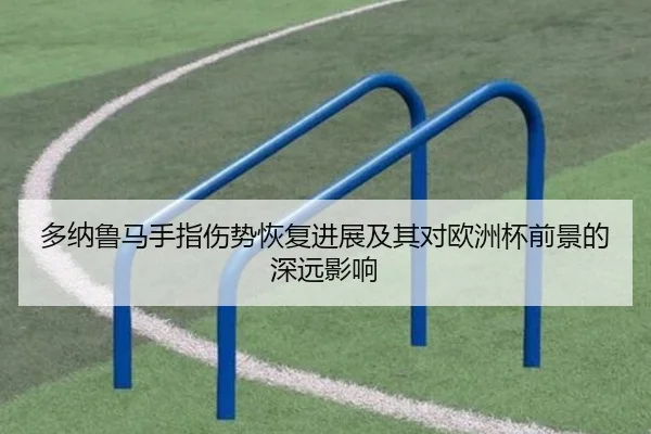 多纳鲁马手指伤势恢复进展及其对欧洲杯前景的深远影响